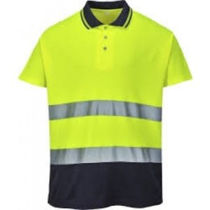 Classic Two-Tone Polo, Class 2